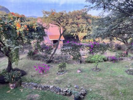 jardin y vista del bungalow