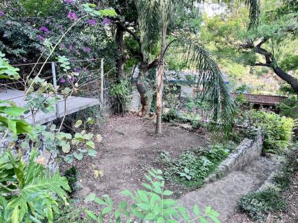 jardin 2