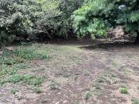 TERRENO LA SANTISIMA