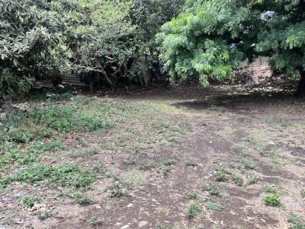 terreno